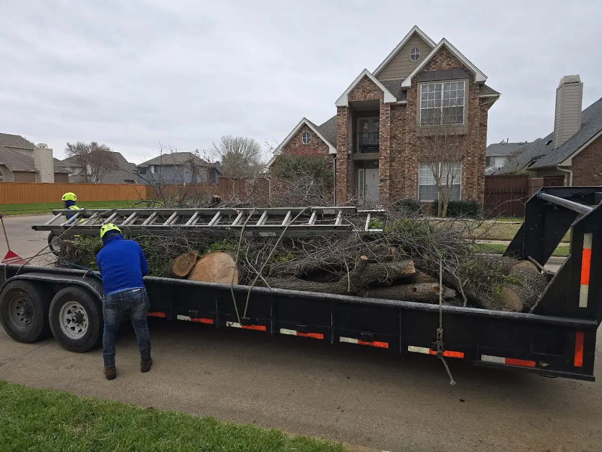 Expert Tree Fertilization with proper safety equipment in Staley